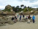 2019-09-28 15-37-38 Ile des Ebihens MBo
